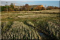 Arable land near Pershore