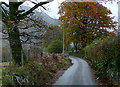 The mountain road to Abergwesyn, Ceredigion