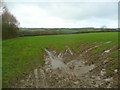 Haylage field