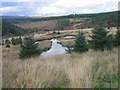 NY6584 : Pond  above Cranecleugh Burn Valley by Les Hull