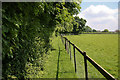 Footpath around Lucy Wood