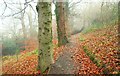 Late autumn, Huntly, Banbridge (3)