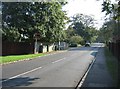 Looking along Mingle Lane