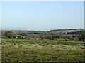 2008 : Rough pasture at Luckington Cross