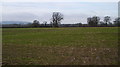 Flat field near Tibberton