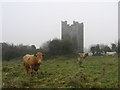 J0302 : Dunmahon Castle, Co. Louth by Kieran Campbell