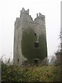 J0302 : Dunmahon Castle, Co. Louth by Kieran Campbell