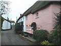 Shuttern Cottage, Newton St Cyres