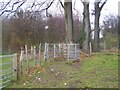 Footpath junction at Cowstead Wood