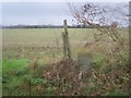 Footpath through field ??