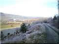 Downhill from Gyfenni Wood