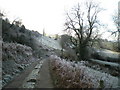 Footpath becomes bridleway