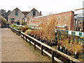 Waterperry garden centre