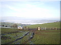 Pastures above Cefn-y-bryn