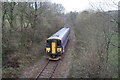 Looe Valley train