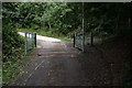 Cattle grid onto common