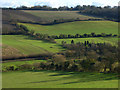 Farmland, Hughenden