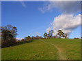 SU8598 : Pasture, Hughenden by Andrew Smith