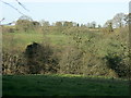 2008 : Pasture land near Cherry Garden Farm