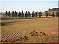 Arable land north of Bromesberrow Heath