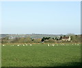 2008 : Sheep pasture near Charlton