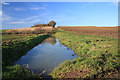 TL6053 : Farm track and ditch, Weston Colville by Bob Jones