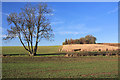 TL6053 : Fields near Weston Colville by Bob Jones