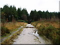 Track on Hoyton Hill