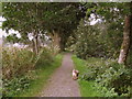 Footpath beside River Annan