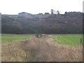 Rough Shaw from Cooling Court Road