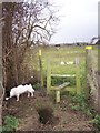 Big Rabbit holes near stile