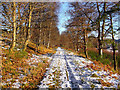 Old West Drive to Lawers House