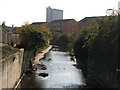 The River Ravensbourne south of Elverson Road DLR station