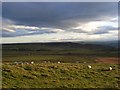 Pastures above Crag Lough