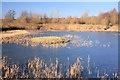 TL8070 : Pond at Lackford Lakes Nature Reserve by Bob Jones