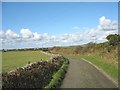 National Cycle Route 8 south east of Engedi