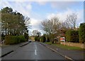 Heather Road Binley woods