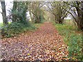 Track near Ibthorpe