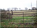 Radio mast near Upton