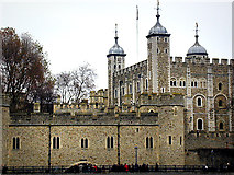 TQ3380 : Tower of London by Chris Gunns