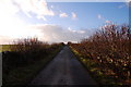 Lane from Bu of Burray