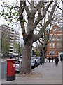 St. John Street, EC1