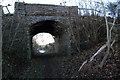 NO3535 : Templeton railway bridge looking west by David Martin