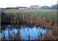 Pond by Bildeston Road