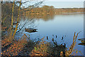 Carr Mill Dam