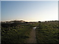 Path eastwards on Milton Common