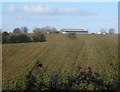 Fields rising towards Prospect Farm