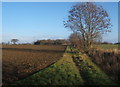 Footpath towards Naughton