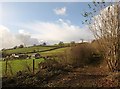 Bickaton from Hunland Copse