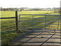 Rough Grazing land next to the Retail Park